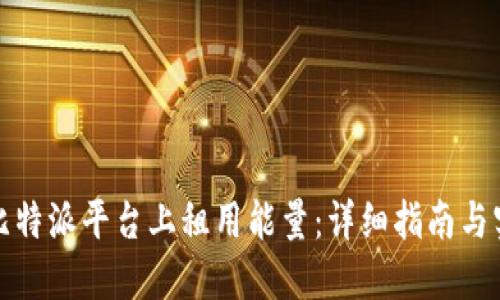 如何在比特派平台上租用能量：详细指南与实用技巧