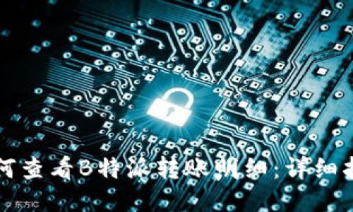 如何查看B特派转账明细：详细指南