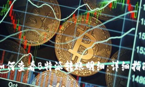 如何查看B特派转账明细：详细指南