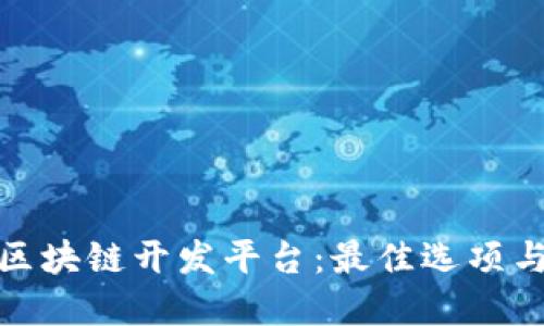 如何选择区块链开发平台：最佳选项与综合比较
