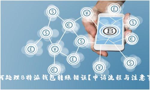 如何处理B特派钱包转账错误？申诉流程与注意事项