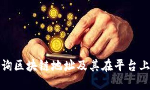 如何查询区块链地址及其在平台上的信息