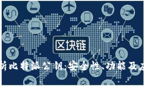 深入解析比特派公钥：安全性、功能及应用场景
