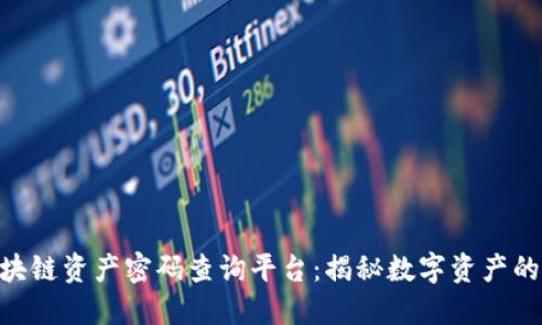 biao ti/区块链资产密码查询平台：揭秘数字资产的安全与管理