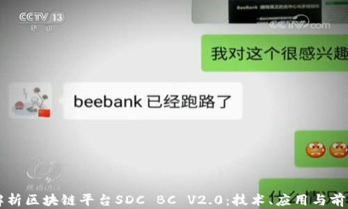 
深入解析区块链平台SDC BC V2.0：技术、应用与前景展望