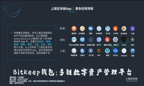 BitKeep钱包：多链数字资产管理平台