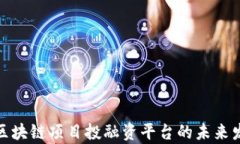 全面解析区块链项目投融