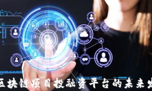 
全面解析区块链项目投融资平台的未来发展与机遇