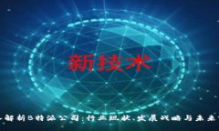 深入解析B特派公司：行业