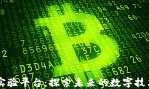 
区块链实验平台：探索未来的数字技术与应用
