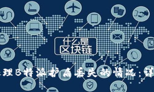 如何处理B特派护盾丢失的情况：详细指南