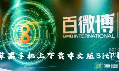 如何在苹果手机上下载中文版BitP钱包应用