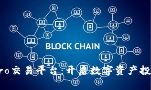 区块链Pro交易平台：开启数字资产投资新纪元