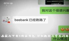 如何在国内下载B特派钱包