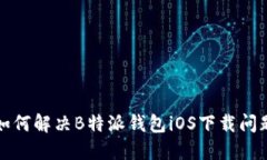如何解决B特派钱包iOS下载