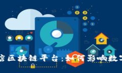 深度解析星链友店区块链