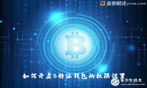 如何开启B特派钱包的权限设置