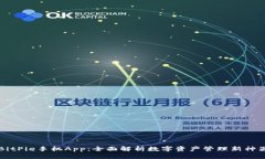 BitPie手机App：全面解析数