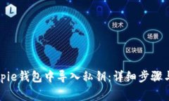 如何在Bitpie钱包中导入私