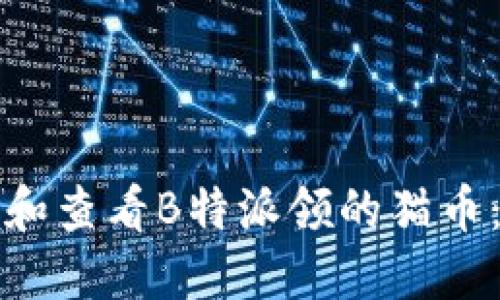 如何获取和查看B特派领的猫币：全面指南