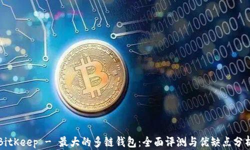 
BitKeep - 最大的多链钱包：全面评测与优缺点分析