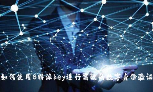 如何使用B特派key进行高效的数字身份验证