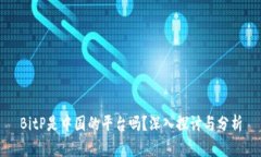 BitP是中国的平台吗？深入