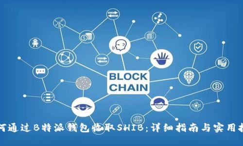 如何通过B特派钱包收取SHIB：详细指南与实用技巧