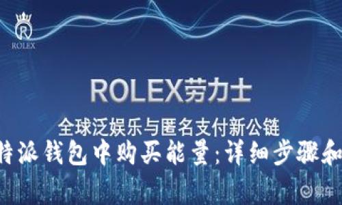 如何在B特派钱包中购买能量：详细步骤和注意事项