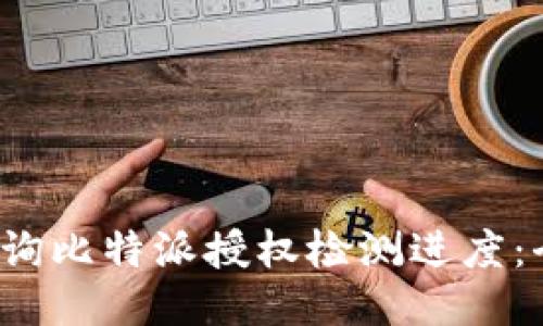  如何查询比特派授权检测进度：全面指南