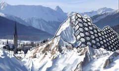 “BITP”可能指代多个意思