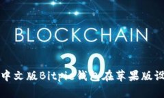 如何下载和安装中文版B
