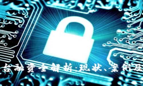 区块链平台融资全解析：现状、案例及未来趋势