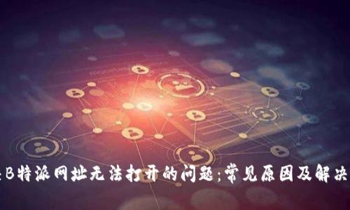 解决B特派网址无法打开的问题：常见原因及解决方法