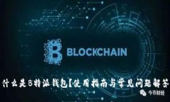 什么是B特派钱包？使用指
