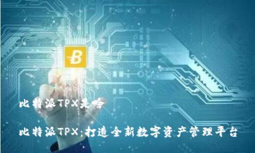 比特派TPX是啥

比特派TPX：打造全新数字资产管理平台