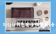 بياوتيBitpie钱包安全性