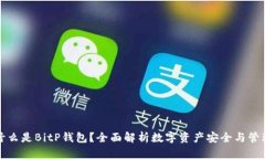 什么是BitP钱包？全面解析
