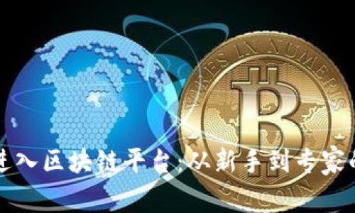 如何顺利进入区块链平台：从新手到专家的全面指南