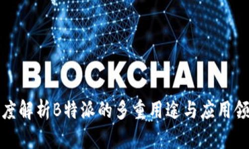 深度解析B特派的多重用途与应用领域