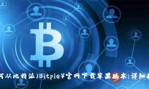 如何从比特派（Bitpie）官网下载苹果版本：详细指南