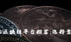 2023年国内最佳区块链平台