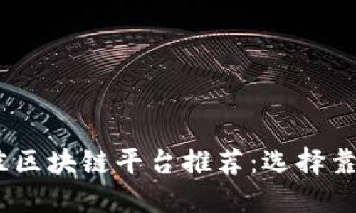 2023年国内最佳区块链平台推荐：选择靠谱的区块链服务