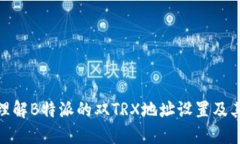 如何理解B特派的双TRX地址