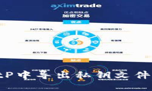 如何在BitP中导出私钥文件：详细指南