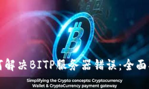 如何解决BITP服务器错误：全面指南