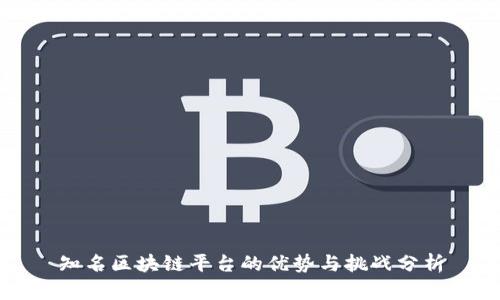 知名区块链平台的优势与挑战分析