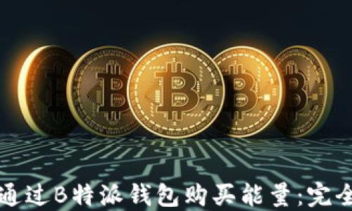 
如何通过B特派钱包购买能量：完全指南