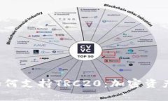 透视B特派如何支持TRC20：