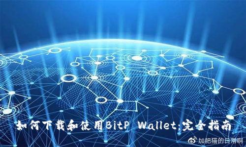 如何下载和使用BitP Wallet：完全指南